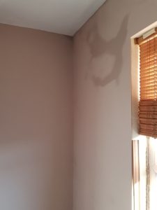 damp-on-wall