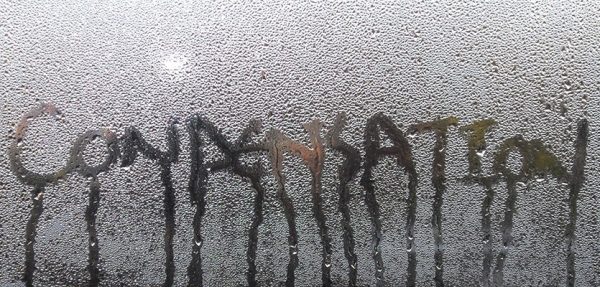 Condensation on Window