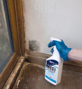 Spraying Mould in Corner